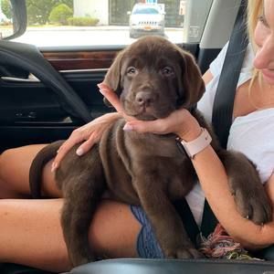 Meet your Posher, Dani